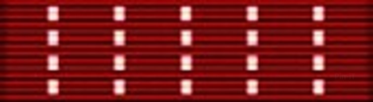 Army Exceptional Public Service