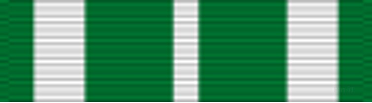 Coast Guard Commendation