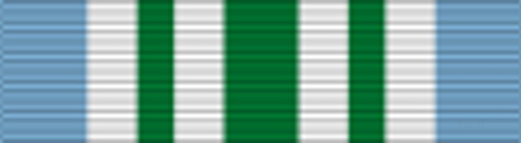 Joint Service Commendation