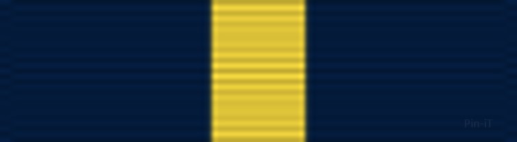Navy Distinguished Service