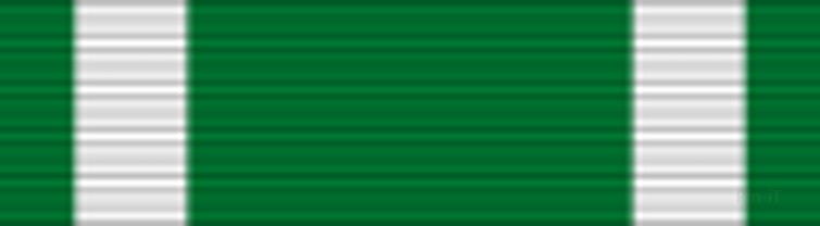 Navy & Marine Corps Commendation