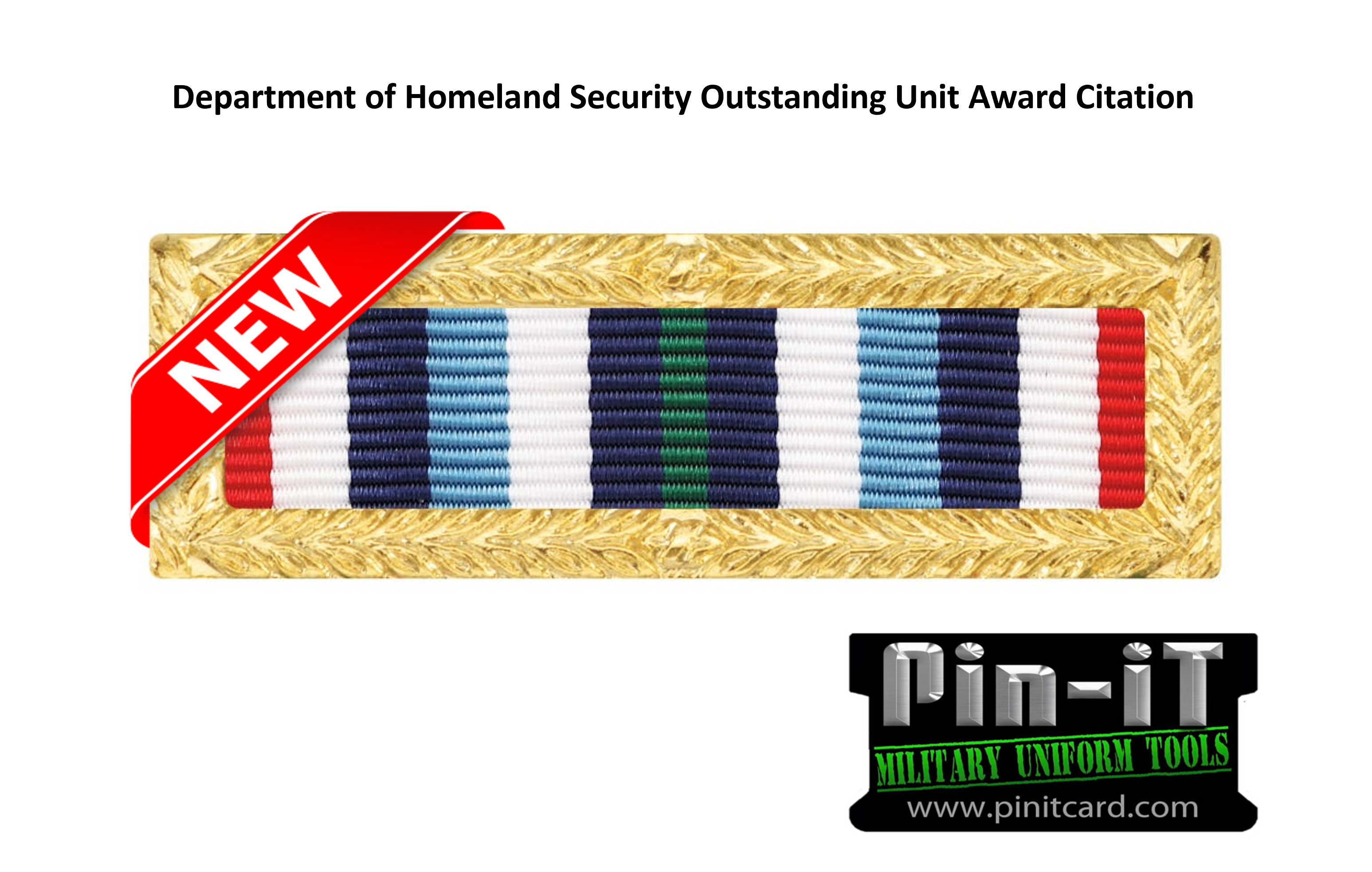 pinit Department of Homeland Security Outstanding Unit Award Citation