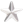 5/16" Silver Star