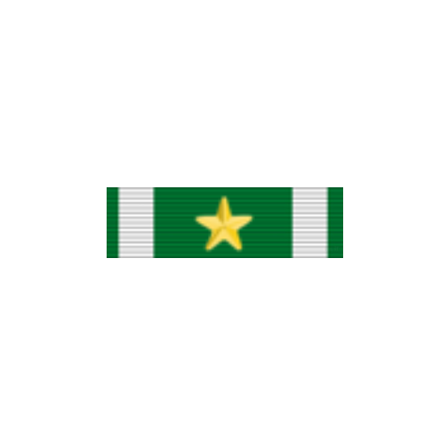 Navy & Marine Corps Commendation with Gold Star