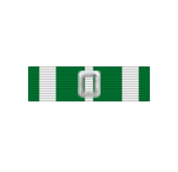 CG Commendation Ribbon with O Device